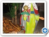 IMG_2011