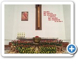 IMG_6984